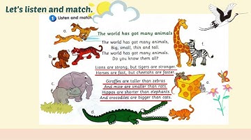 MODULE 10 THE WORLD AROUND US PAGE 95