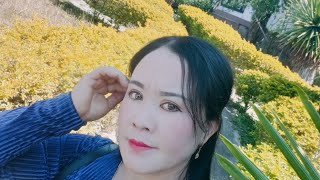 Nkauj Hmoob Toj Siab Mu Ua Teb Lo Da Dej2492021