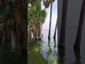 مسار رهيب على شاطئ بحيرة طبريا