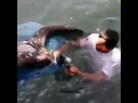 Salvan Pelicano amallando en peños de boliche