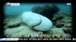 정글의법칙 130830 #42(9)