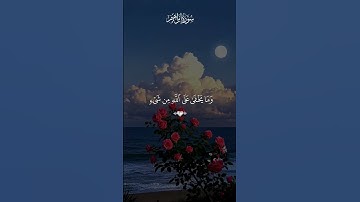 ربنا انك تعلم ما نخفي وما نعلن🌺🍂 تلاوة خاشعه بصوت🌱  ماهر المعيقلي #quran #المصحف #قرآن