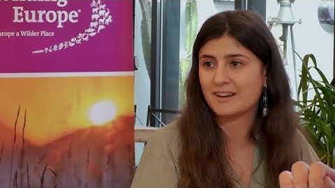 Trailer Rewilding Talk Show