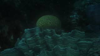 SOMA - 02 - Underwater, Lambda