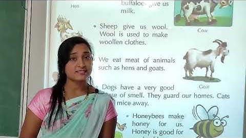 NCERT | CLASS II | EVS | Chapter 15 | The World Of Animals