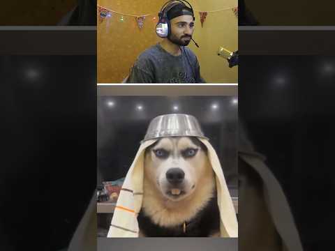 تضحك تخسر 5 ضحك   تحدي الضحك