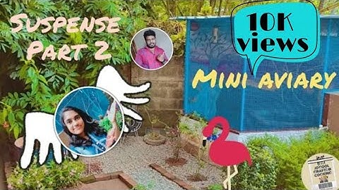 Suspense (part-2) MINI AVIARY/Birds cage ideas/mixed bird in one cage