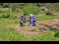 Techniques naturelles pour un potager en permaculture