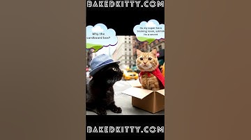 Mr.BakedKitty Shenanigans  #catlife #catlovers #catnip #catnipcraze #catshorts #catvideos