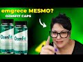 OZENFIT CAPS FUNCIONA MESMO? A Resposta Que Ninguém Está Te Contando