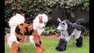 Mightyena and Arcanine - Cosplay Quadsuits