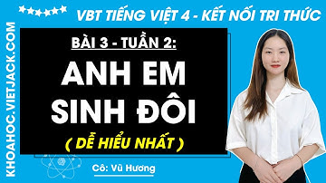 Vở bài tập Tiếng Việt Lớp 4 Bài 3: Anh em sinh đôi - trang 11, 12, 13 | Kết nối tri thức (HAY NHẤT)