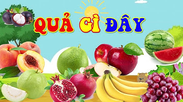 QUẢ GÌ ĐÂY | BÉ PHÂN BIỆT CÁC LOẠI QUẢ | BÉ ĐOÁN TÊN QUẢ QUA HÌNH ẢNH | SỨA TV