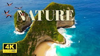 Nature 4K UHD | Beautiful Places on The Earth