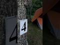 Winding Down at Coweeta Creek Site 4 | Gazelle T8 Camp Setup by the Water