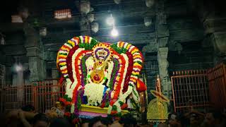 Tiruvannamalai Arunachaleswarar sundarar kailaya katchi 2019 part 1