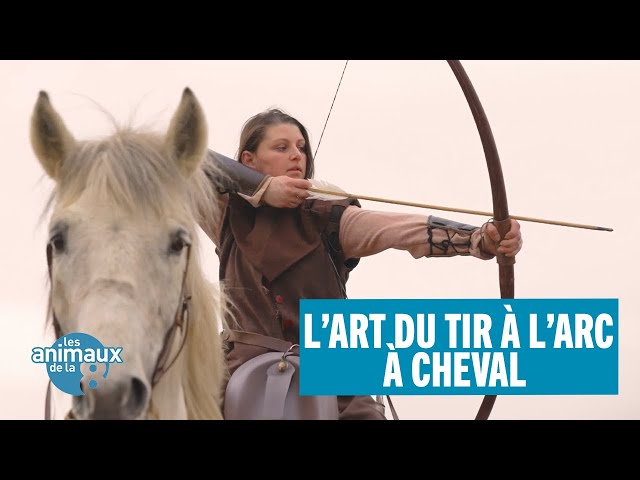 Tir à l'arc à cheval - HR Ranch