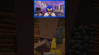 Minecraft Horror #Sonic