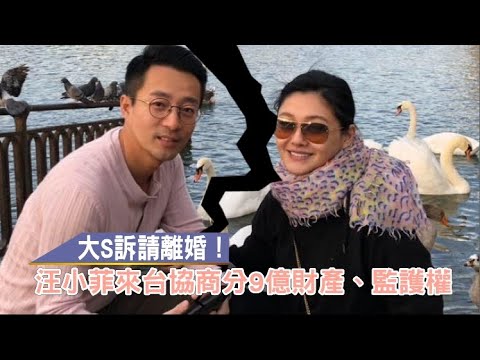 獨家回應｜大S親吐離婚心情　「希望小菲永遠過得比我好」 | 台灣新聞 Taiwan 蘋果新聞網