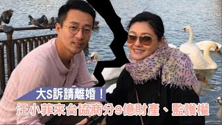 獨家回應｜大S親吐離婚心情　「希望小菲永遠過得比我好」 | 台灣新聞 Taiwan 蘋果新聞網