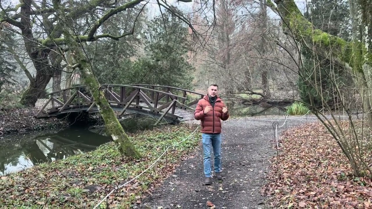 Vácrátóti Botanikus kert télen. Faölelés, új évelő ágyás és sok más szépség.