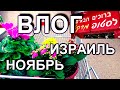 759.Погода погодой, а суббота по расписанию