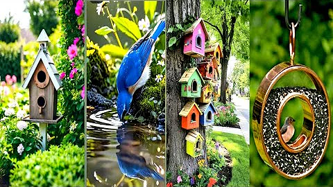 Create a Bird Paradise: Must-Try Bird-Friendly Garden Ideas!