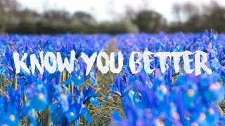 Sam Feldt X LVNDSCAPE - Know You Better (feat. Tessa)