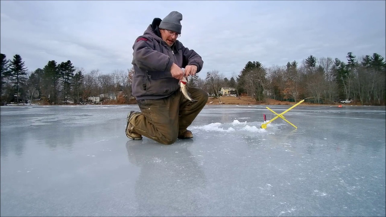 1st Day out Ice Fishing NH 2019 Bass Pickerel and Yellow Perch YouTube