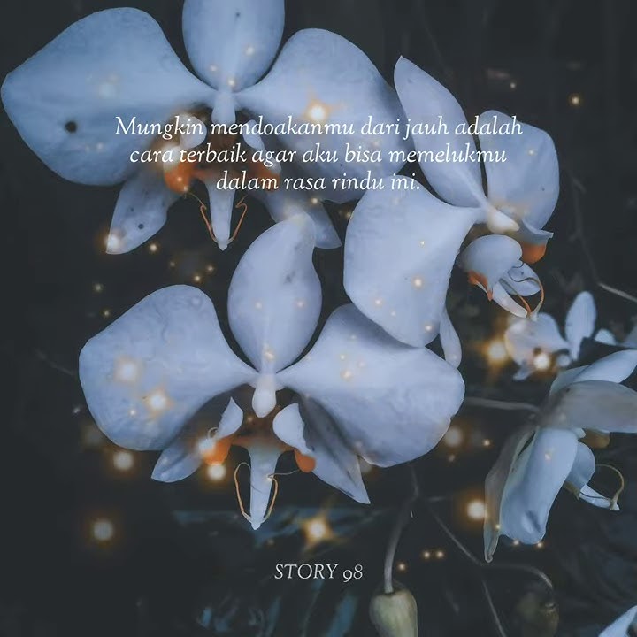 STORY WA 30 DETIK | STORY WA SHOLAWAT | STORY WA BAPER | STORY WA LAGU | ERGAALY