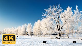 [4K] 11 Hours Of Beautiful Winter Scenes And Soothing Music for Relaxation