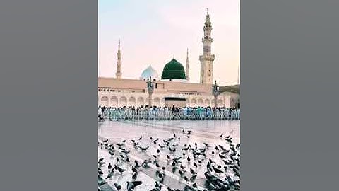 تراويح الليلة الثانية - ما تيسر من سورة البقرة