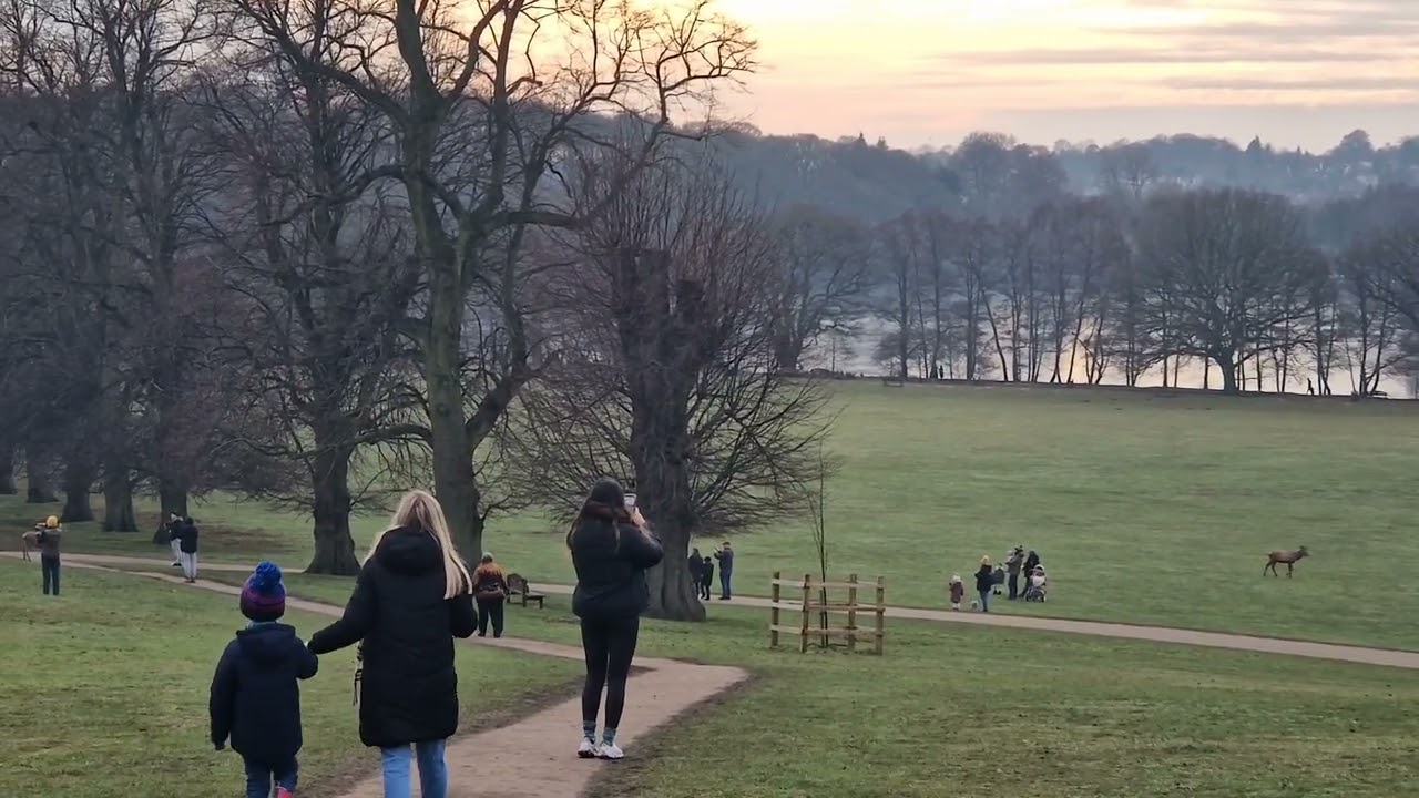 Wollaton Park (Deer Park) - A Day in Nottingham