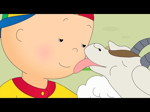 Caillou und der