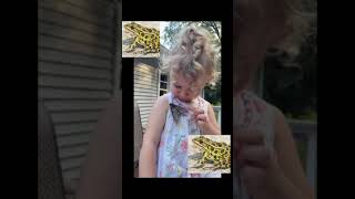 Brittikitty Videos Next Animals