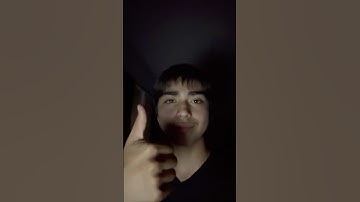 Day 382 of reading the bee movie script