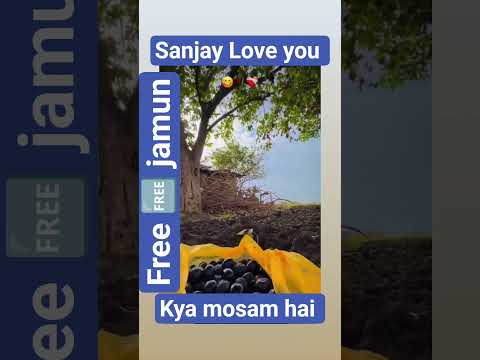 Aao Aao Yahan Sab Bataunga Yahan Mp3 Songs Best Songs