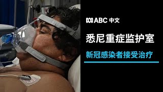悉尼重症监护室里的新冠感染者丨ABC中文