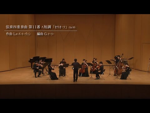 独Polydor　ベートーヴェン セリオーソ　シュトロス四重奏団 独Polydor ベートーヴェン セリオーソ シュトロス四重奏団