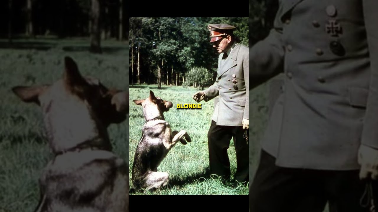 Hitler Had A Dog Named Blondie History Ww2