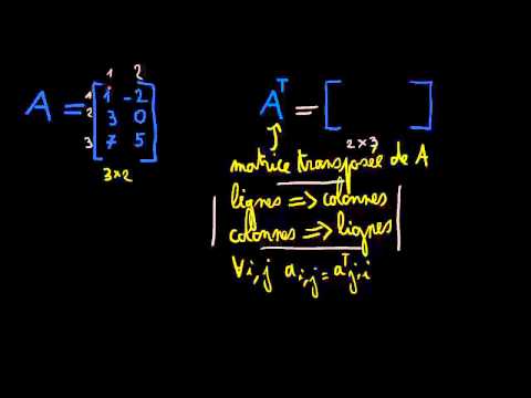 Vidéo: Comment Transposer Une Matrice