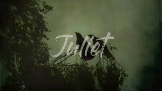 Cavetown - Juliet (slowed & reverb) Resimi