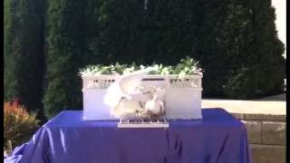 Dove Release