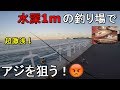 【山下公園】アジが好調な横浜のみなとみらいにある釣り場なら水深1mの激浅の釣り場でもサビキ釣りでアジは釣れる！？【2020.01.11】