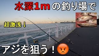 【山下公園】アジが好調な横浜のみなとみらいにある釣り場なら水深1mの激浅の釣り場でもサビキ釣りでアジは釣れる！？【2020.01.11】