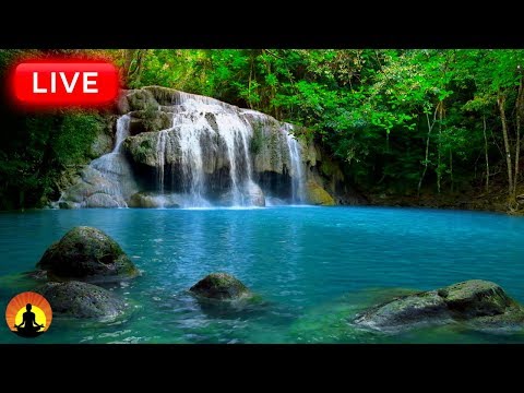 8 HOURS Relaxing Music for Stress Relief. Beats Insomnia. Music for Deep Sleep, Meditation