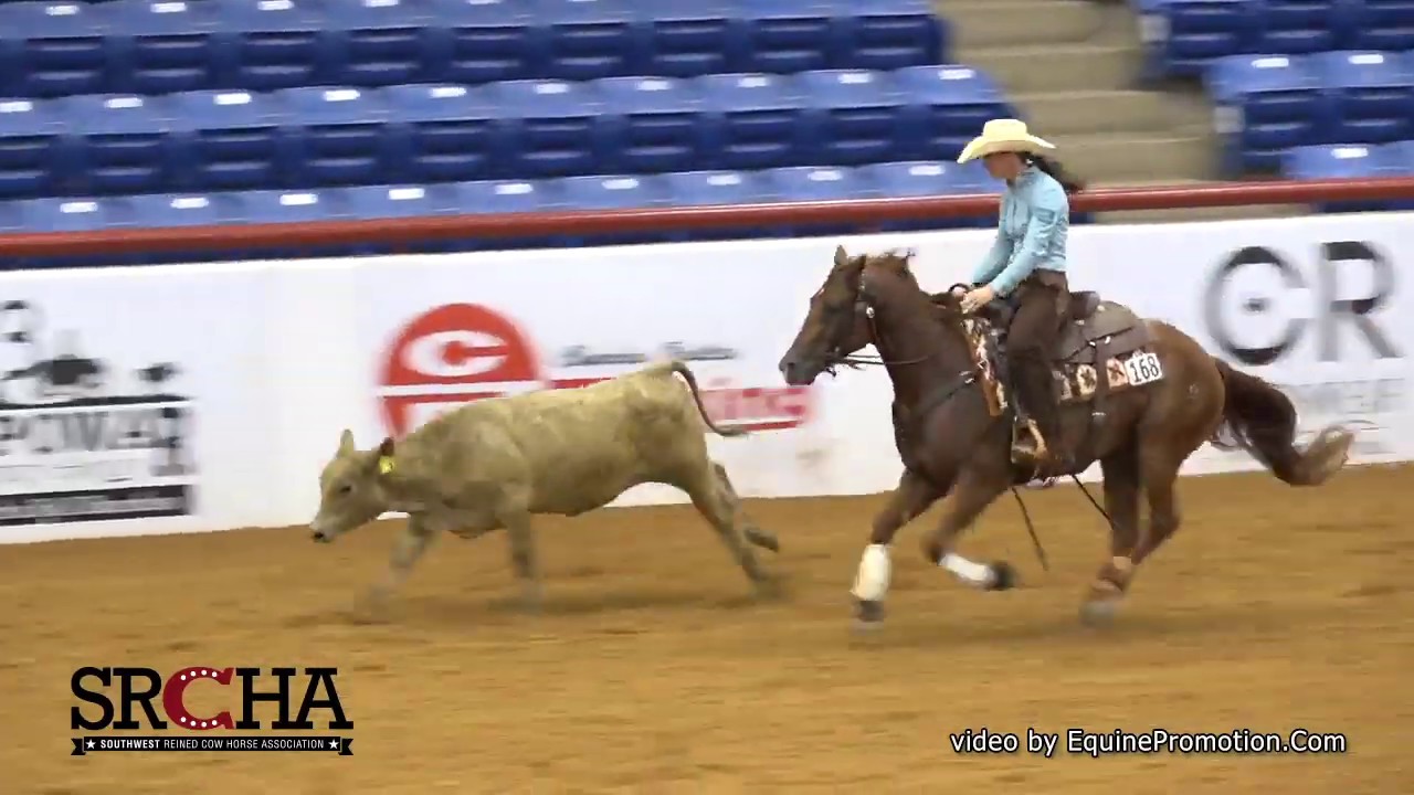 SJR Starlit Rey shown by Erin L Taormino 2019 SRCHA PreFuturity (Cow
