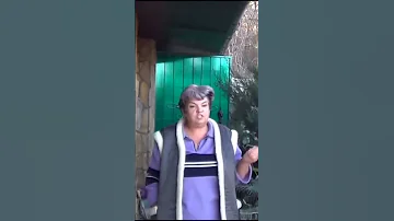 Как быстро растет пихта #shorts