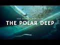 Giants of the Polar Deep