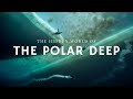 Deep Sea Wonders Quiz